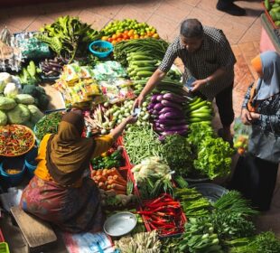 The Rise of Sustainable Food Businesses