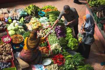 The Rise of Sustainable Food Businesses