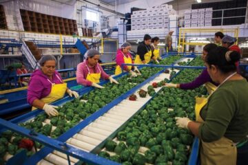 Food Processing Businesses Creating Jobs