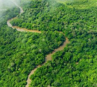 The Science Behind Africa’s Diverse Ecosystems