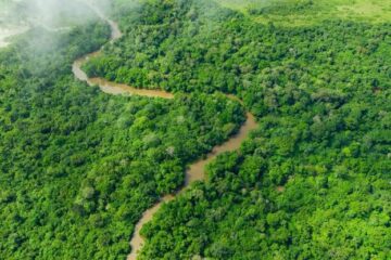 The Science Behind Africa’s Diverse Ecosystems