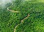 The Science Behind Africa’s Diverse Ecosystems