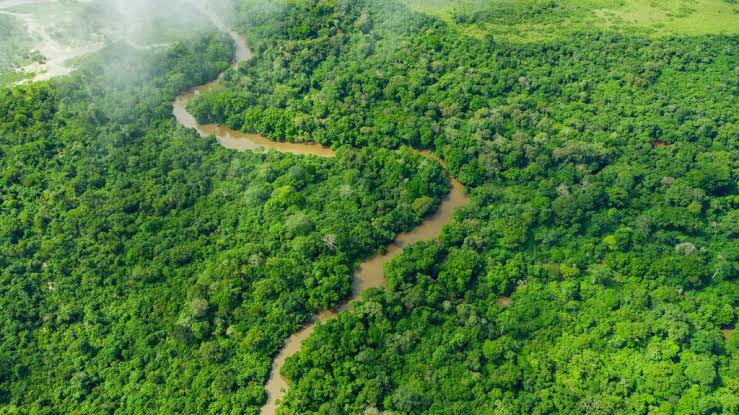 The Science Behind Africa’s Diverse Ecosystems
