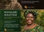 Africa’s Most Influential Environmental Activists