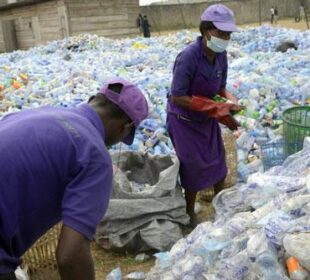 Business Opportunities in Waste Recycling