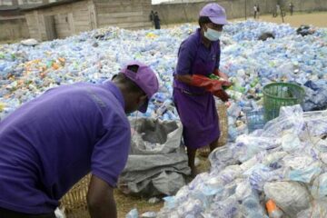 Business Opportunities in Waste Recycling