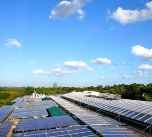 How African Countries Are Investing in Green Energy