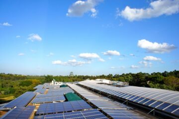 How African Countries Are Investing in Green Energy