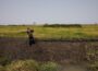 Food Security Solutions Across the Continent
