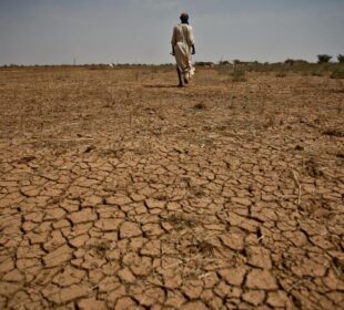 How Climate Change Affects African Agriculture