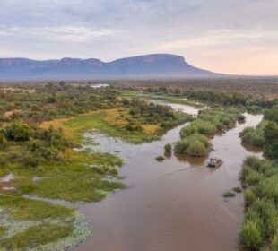 Travel Experiences That Support Conservation