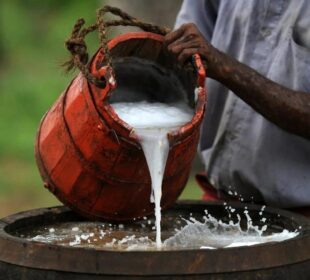 Popular Drinks Across Different African Regions