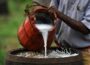 Popular Drinks Across Different African Regions