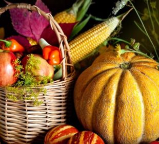 Traditional Foods Linked to Harvest Seasons