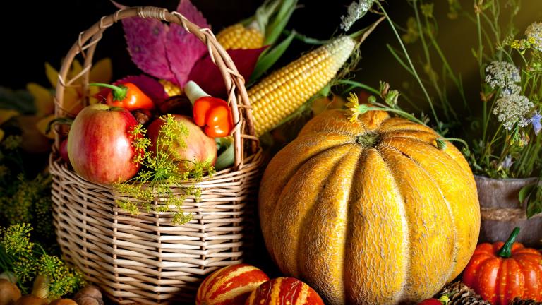 Traditional Foods Linked to Harvest Seasons