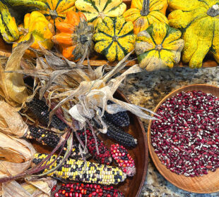 Indigenous Foods Supporting Sustainable Living