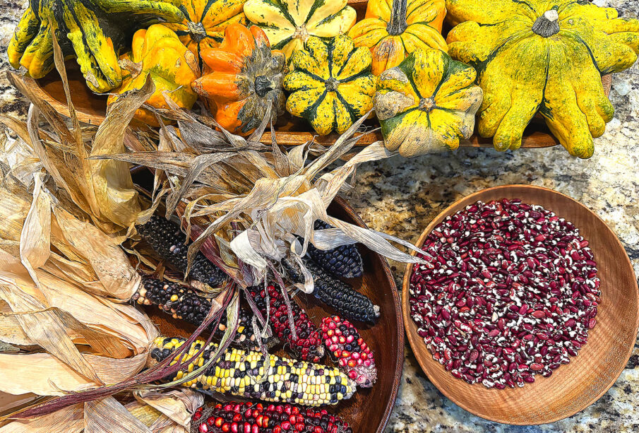 Indigenous Foods Supporting Sustainable Living