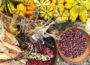Indigenous Foods Supporting Sustainable Living
