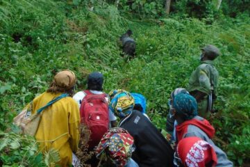 African Communities Leading Conservation Efforts