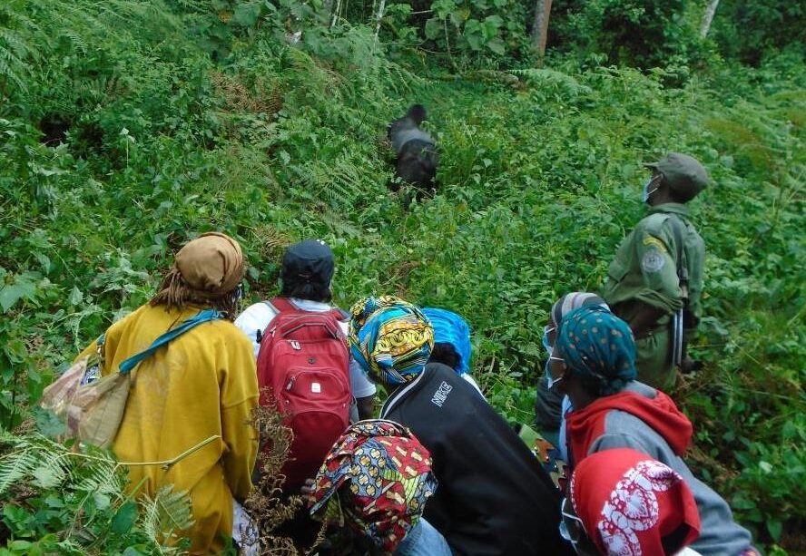 African Communities Leading Conservation Efforts