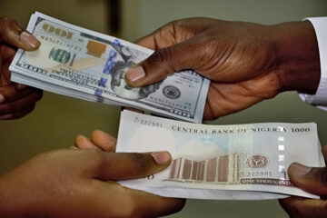 How Nigeria's Currency Is Faring at the FX Market