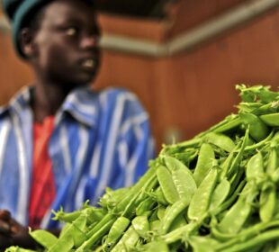 Healthy Indigenous Vegetables You Should Know