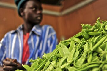 Healthy Indigenous Vegetables You Should Know