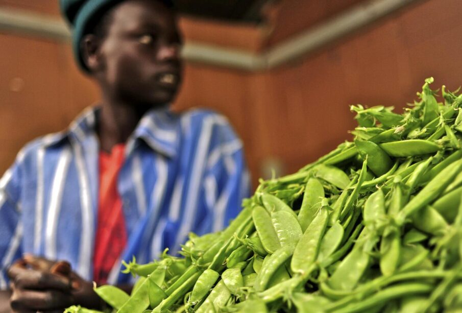 Healthy Indigenous Vegetables You Should Know