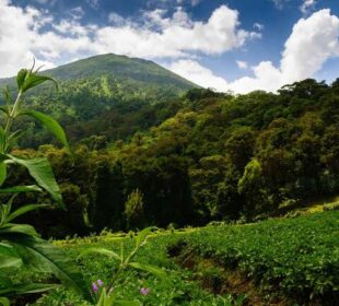 Africa’s Most Beautiful National Parks