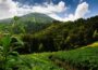 Africa’s Most Beautiful National Parks