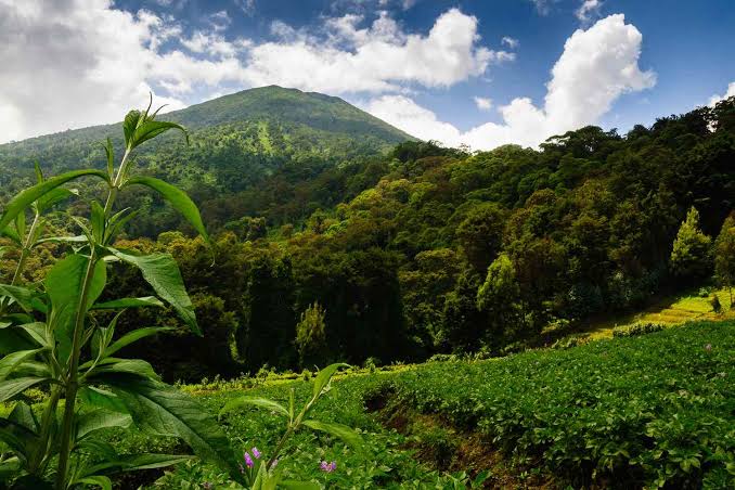 Africa’s Most Beautiful National Parks