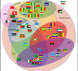 Regional Cooperation and Economic Integration in Africa