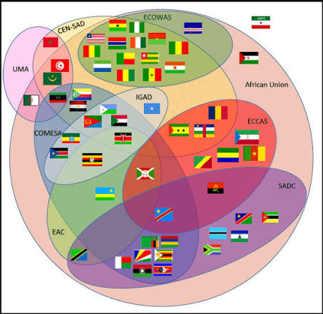 Regional Cooperation and Economic Integration in Africa