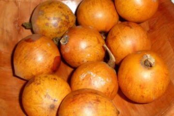 Indigenous African Fruits With Global Potential