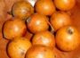 Indigenous African Fruits With Global Potential