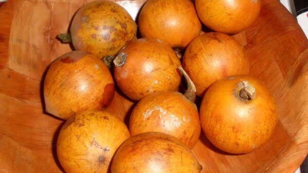 Indigenous African Fruits With Global Potential