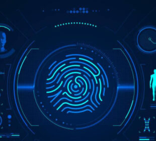 The Rising Cost of Fraud Across Africa