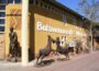 Art and museums in Botswana
