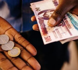 The Informal Economy in Mozambique