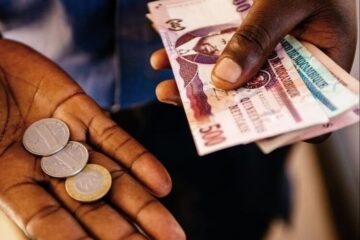 The Informal Economy in Mozambique