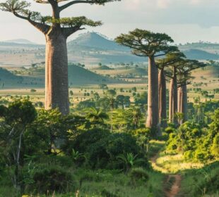 Hidden Travel Gems in Madagascar You Should Discover