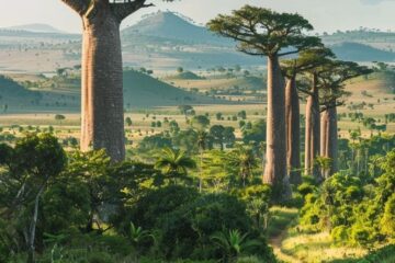 Hidden Travel Gems in Madagascar You Should Discover