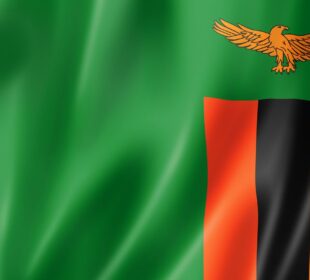 Languages of Zambia and Why They Matter