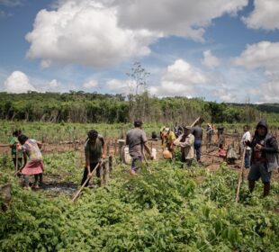 Indigenous Agricultural Practices That Still Work Today