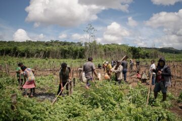 Indigenous Agricultural Practices That Still Work Today