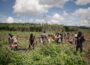 Indigenous Agricultural Practices That Still Work Today