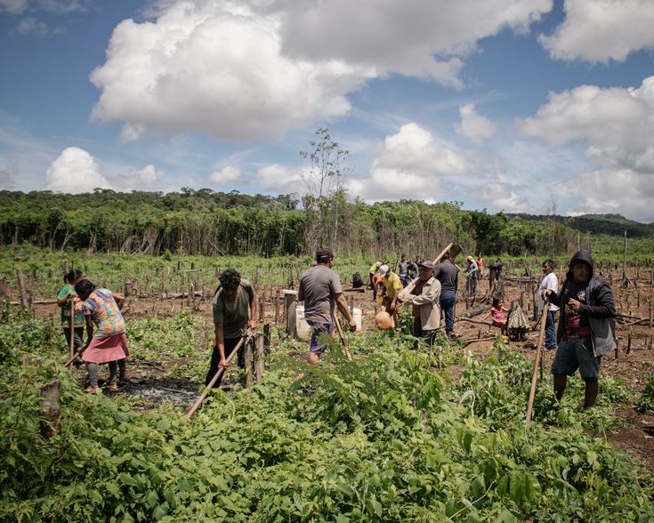 Indigenous Agricultural Practices That Still Work Today