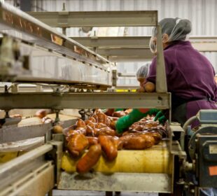 Food Processing Innovations Creating Jobs in Africa