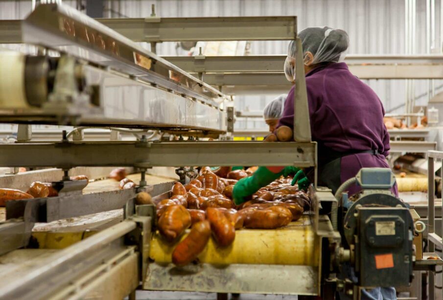 Food Processing Innovations Creating Jobs in Africa