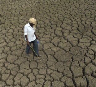 How Ethiopia Is Responding to Climate Shocks Facing Farmers